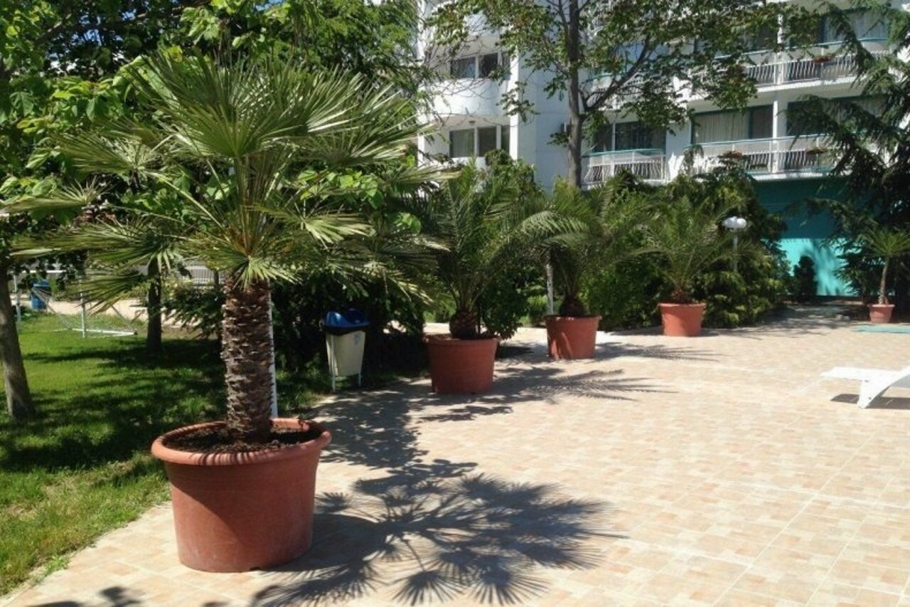 Фото Zefir Hotel