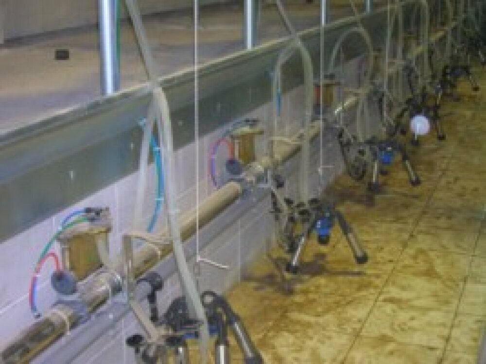 Machine building Ftc Makina, Izmir, photo