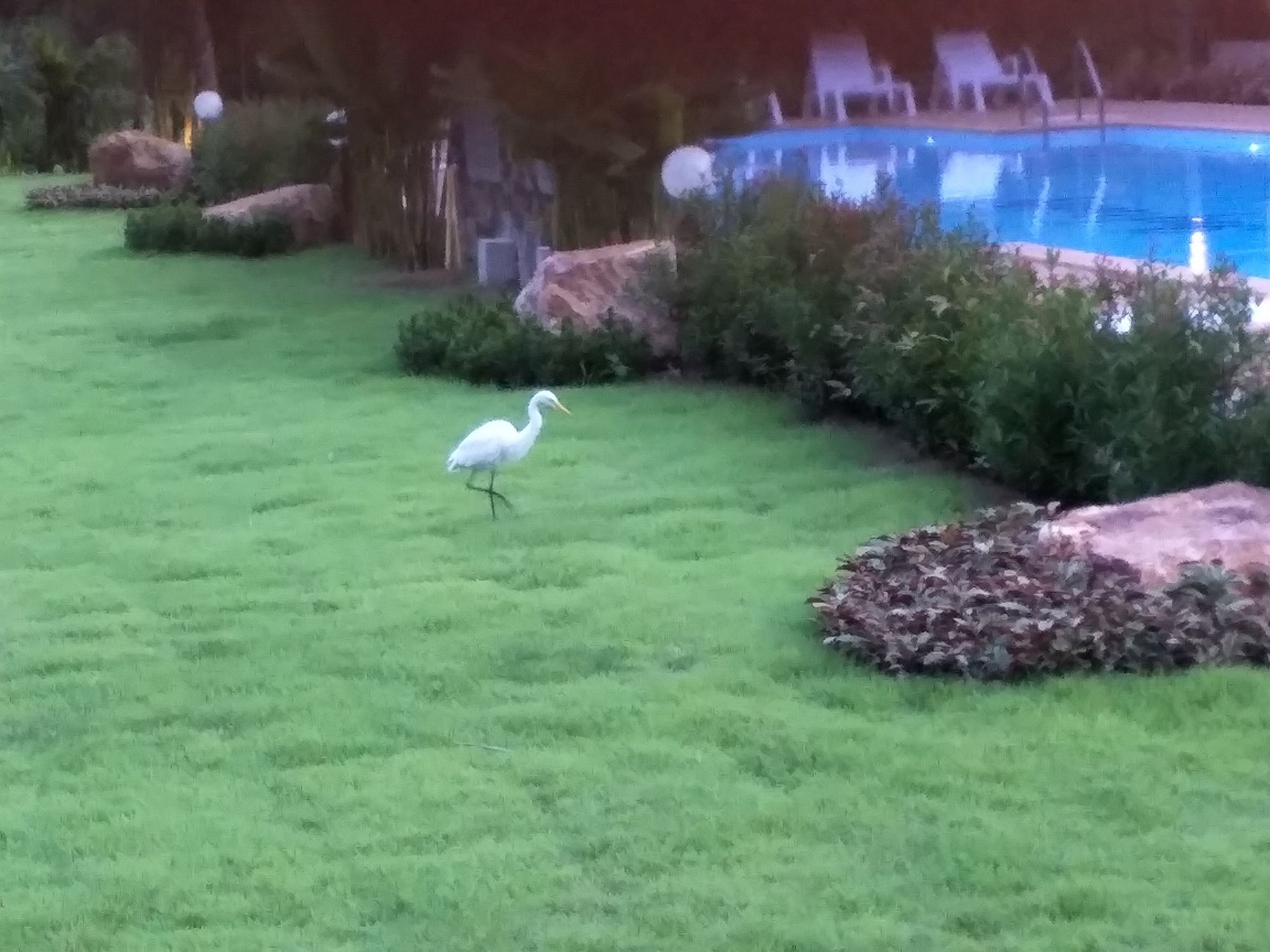 Фото Lanta Infinity Resort