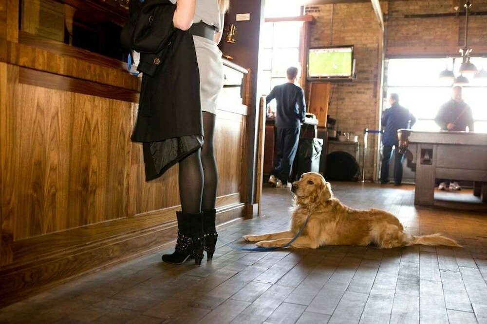 Фото The Iron Horse Hotel