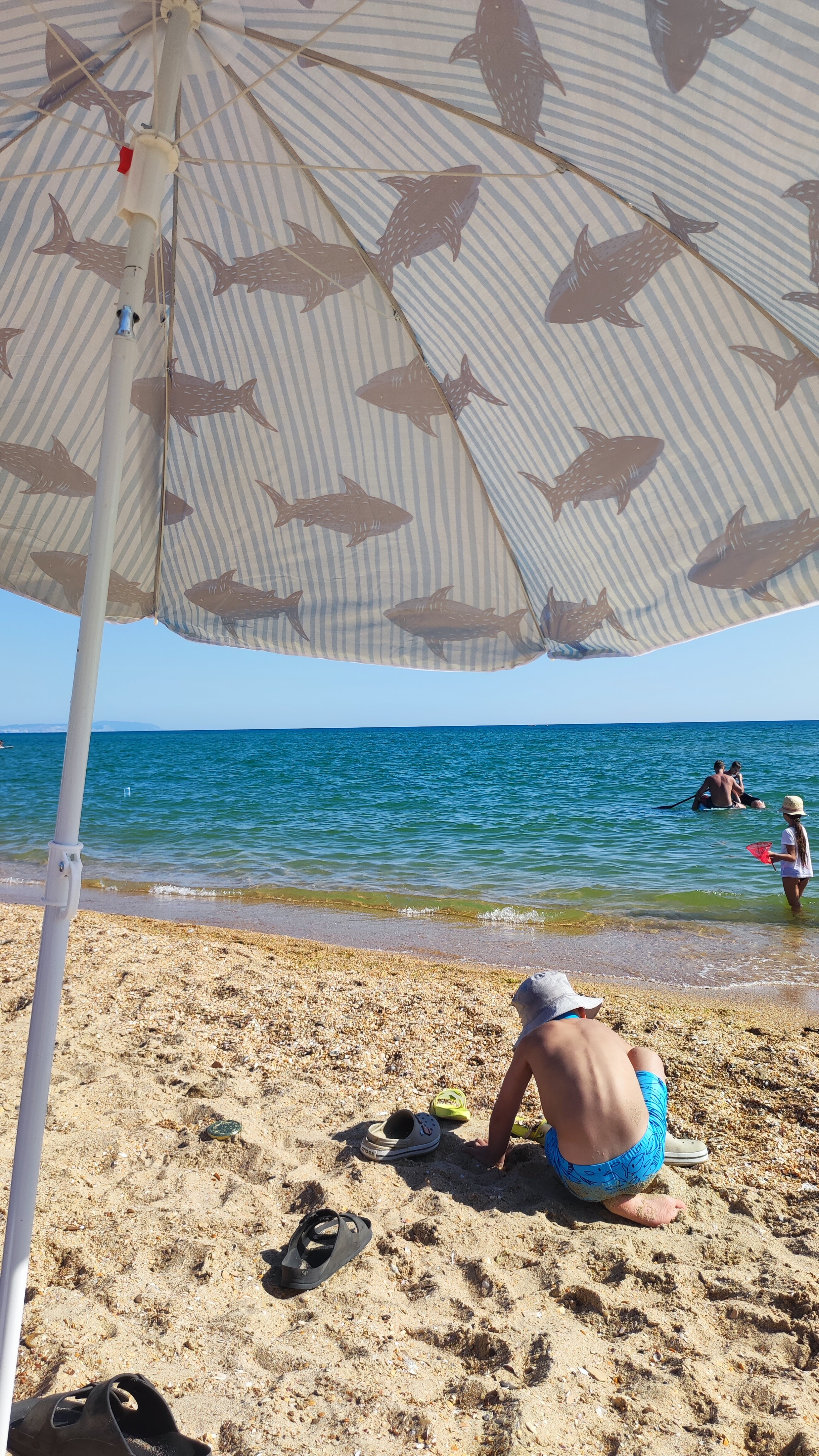 Фото Море Мур