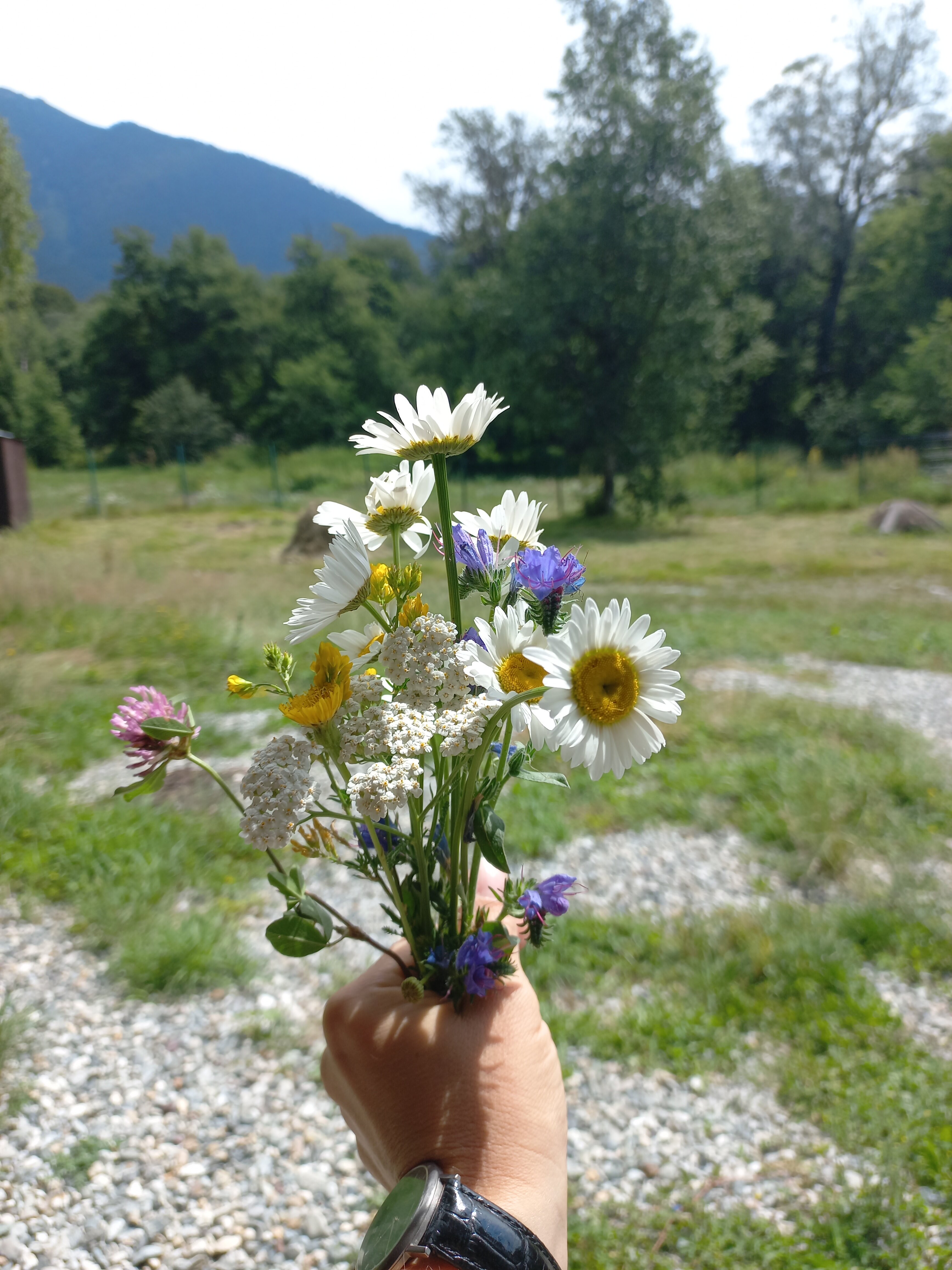 Фото Архыз и точка