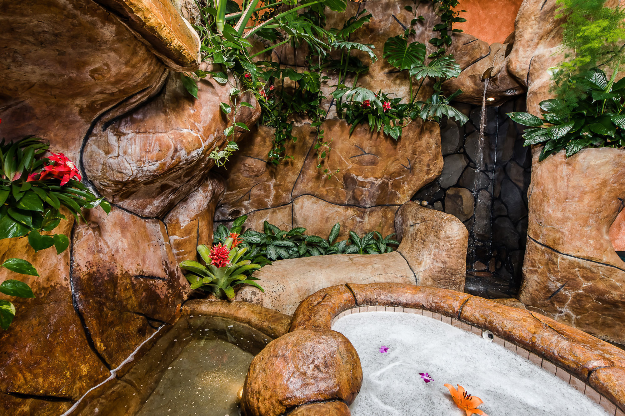 Фото Peace Lodge