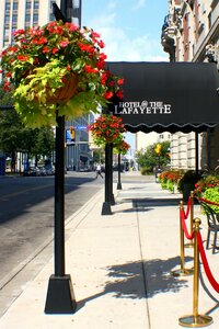 Гостиница Hotel at the Lafayette Trademark Collection by Wyndham