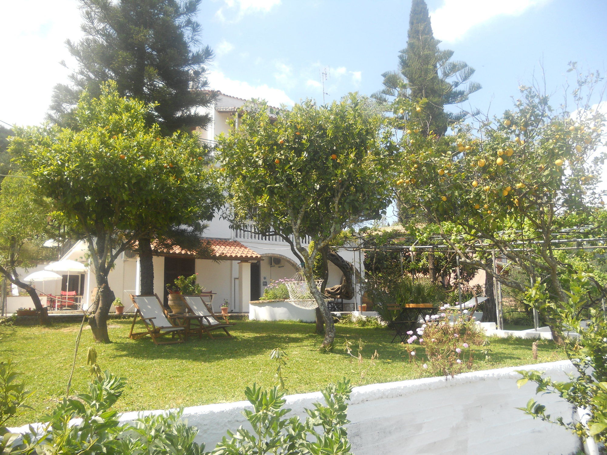 Фото Gina Studios