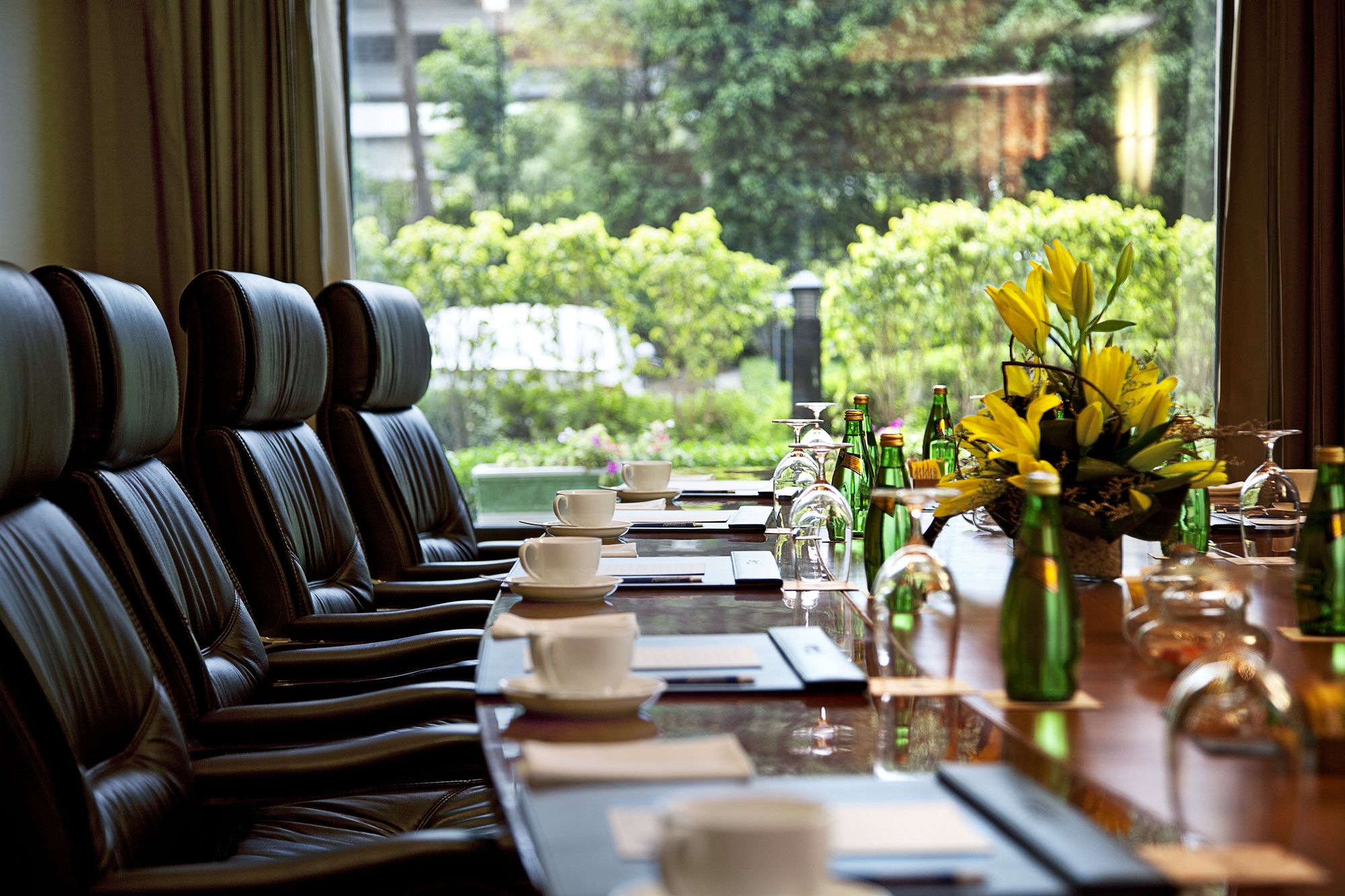 Фото Radisson Blu Plaza Hotel, Delhi Airport