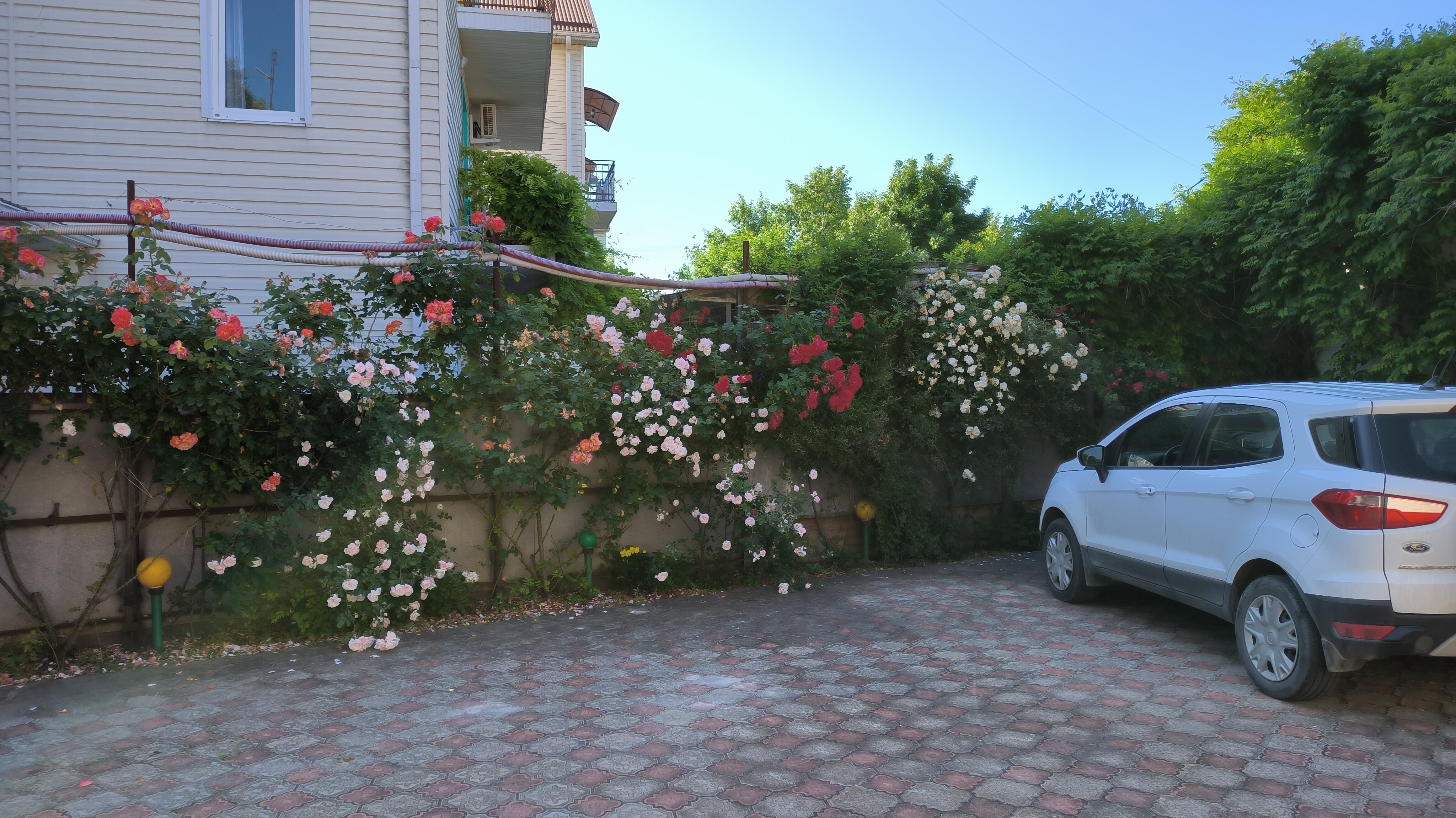 Фото Южная ночь