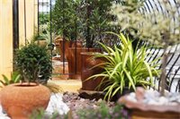 Фото High Lords Residence