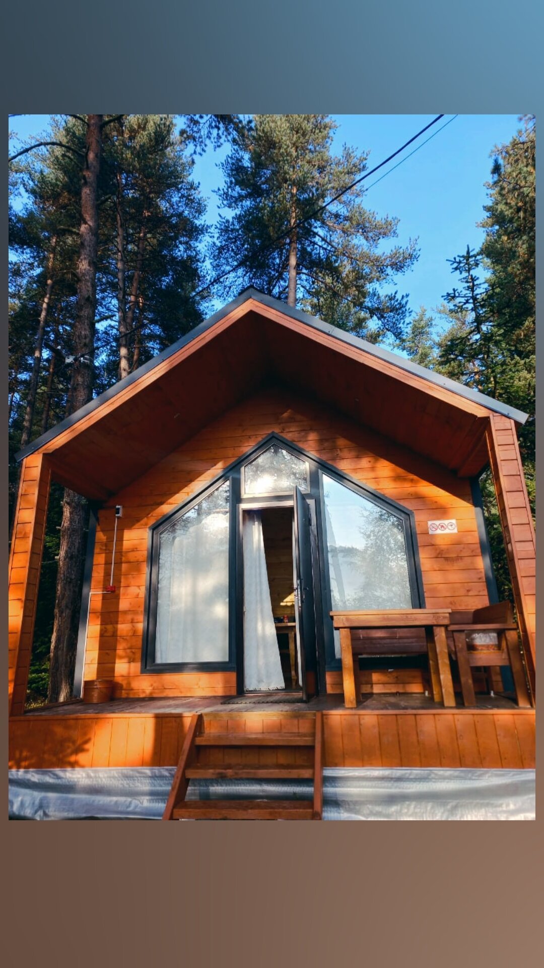 Фото Белый волк