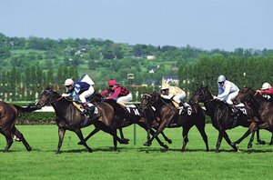 Гостиница Barriere Le Normandy