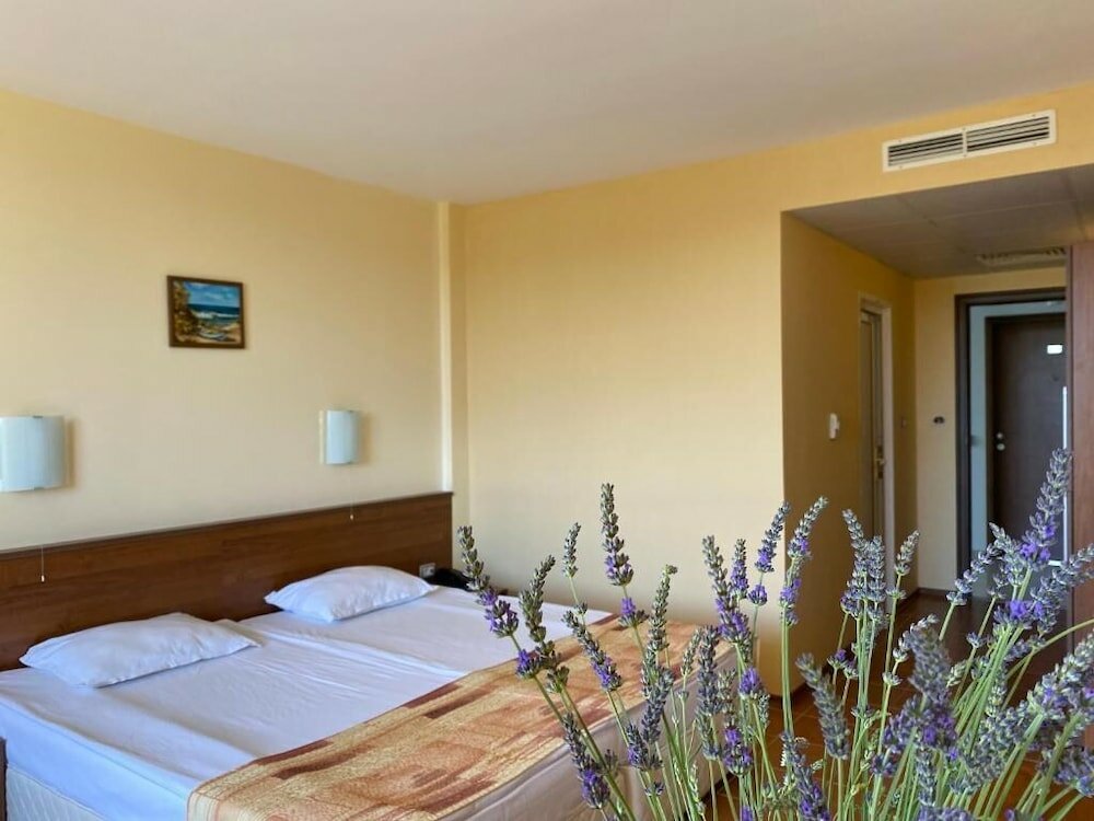 Фото Hotel Plamena Palace