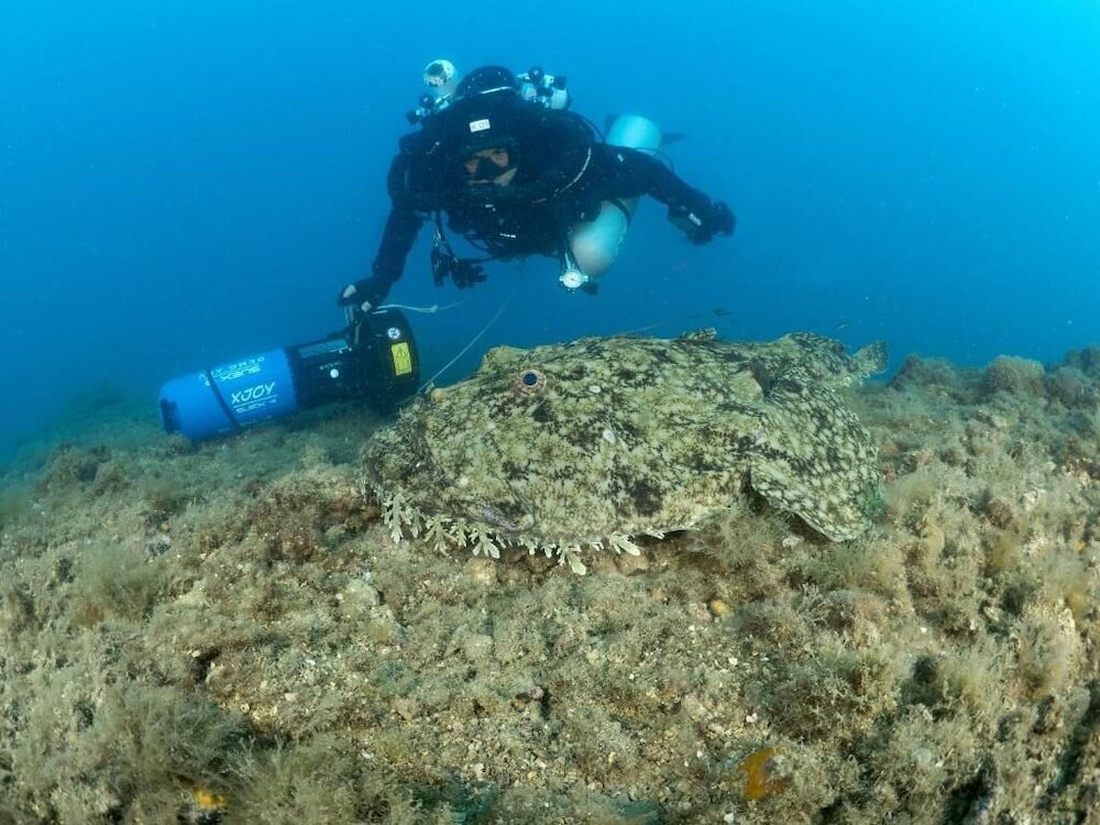 Фото Hotel Internazionale