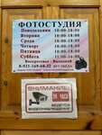 Fotoatelye Spektr (Parkovaya Street, 28) ، التصوير الفوتوغرافي