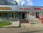 Hoztovary (Marshala Chuykova Street, 35Б) ، متجر للمستلزمات المنزلية