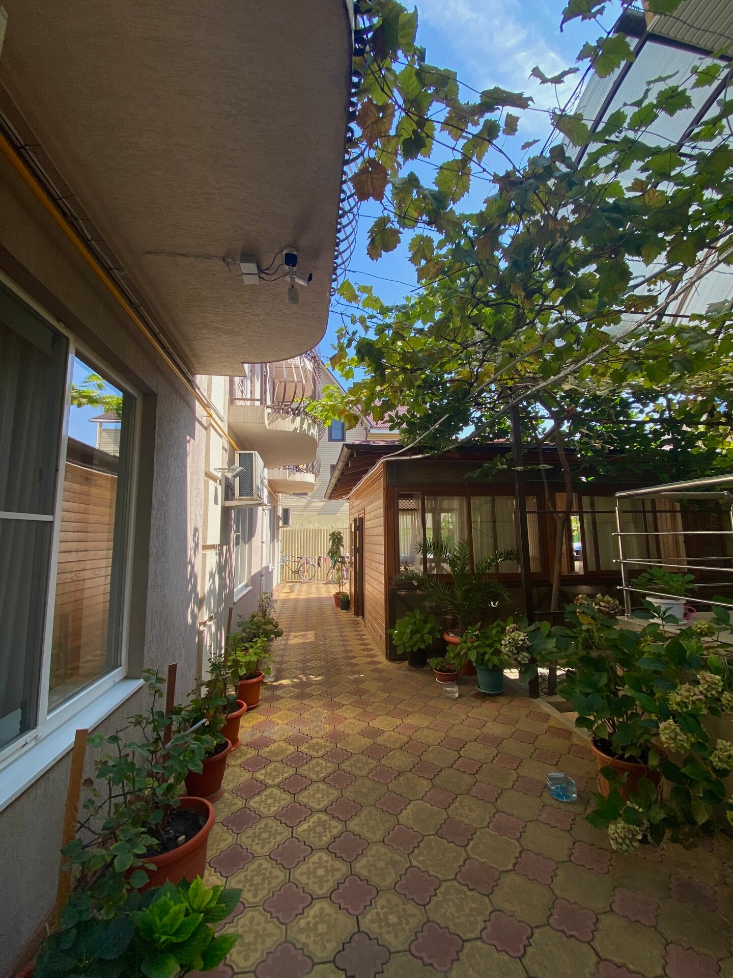 Фото Александра