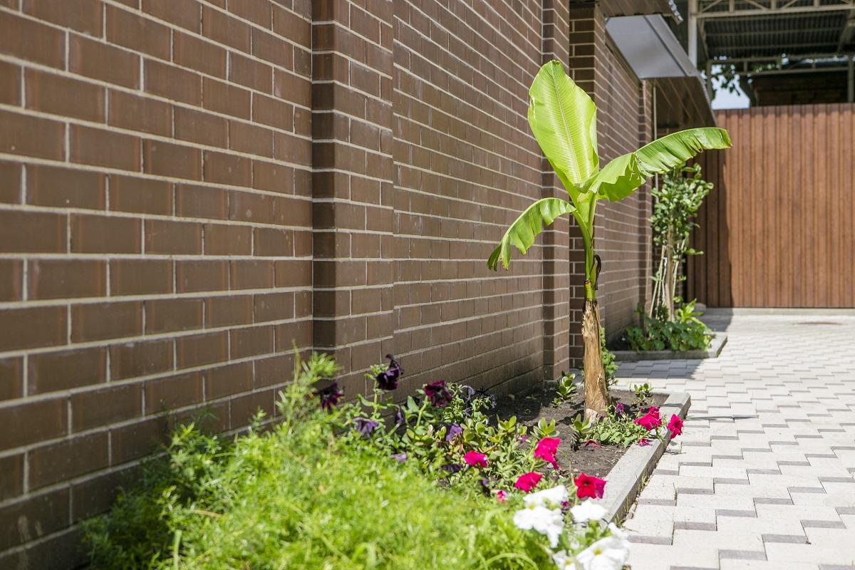 Фото Smart People