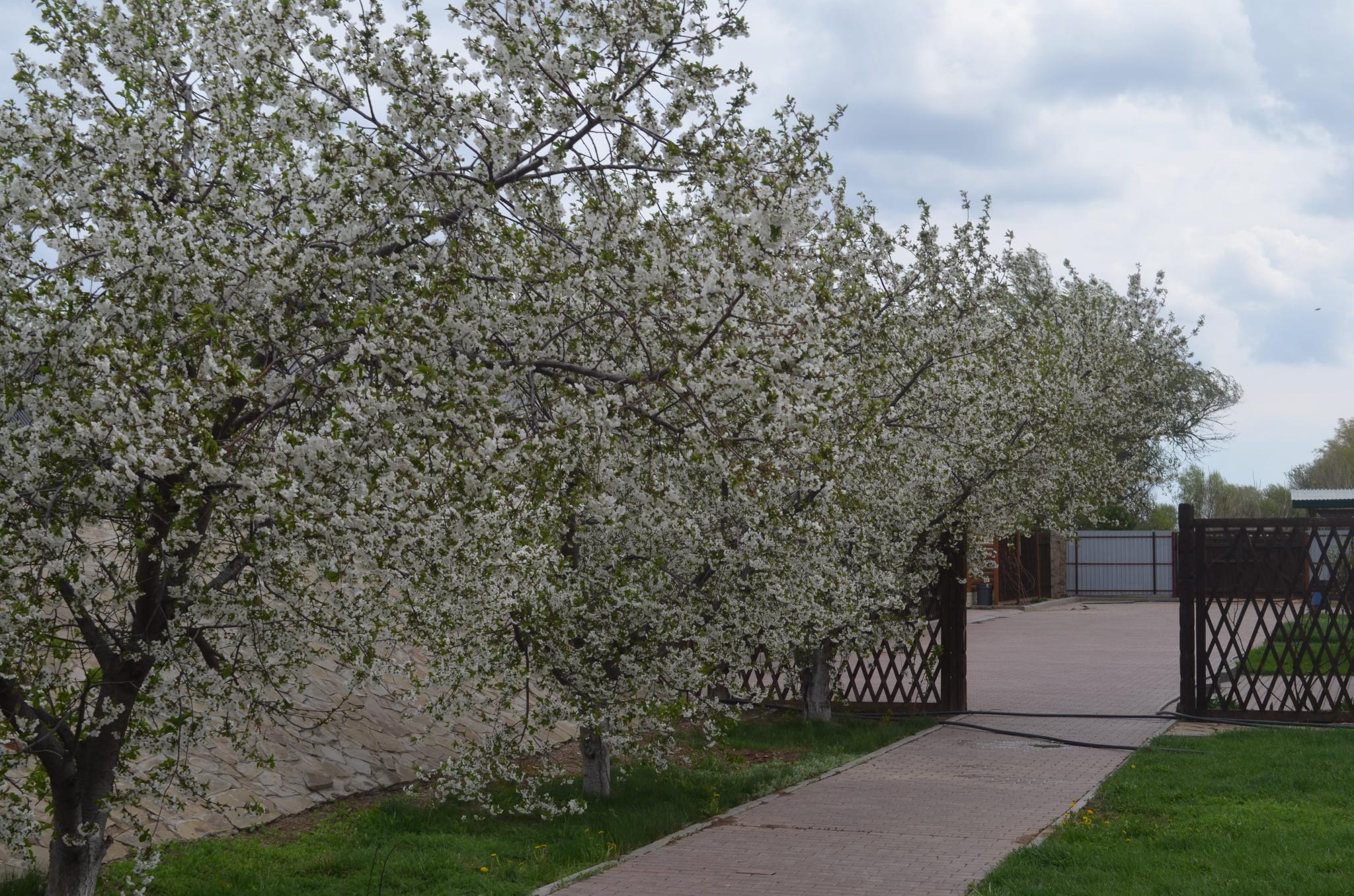 Фото Усадьба Никольское