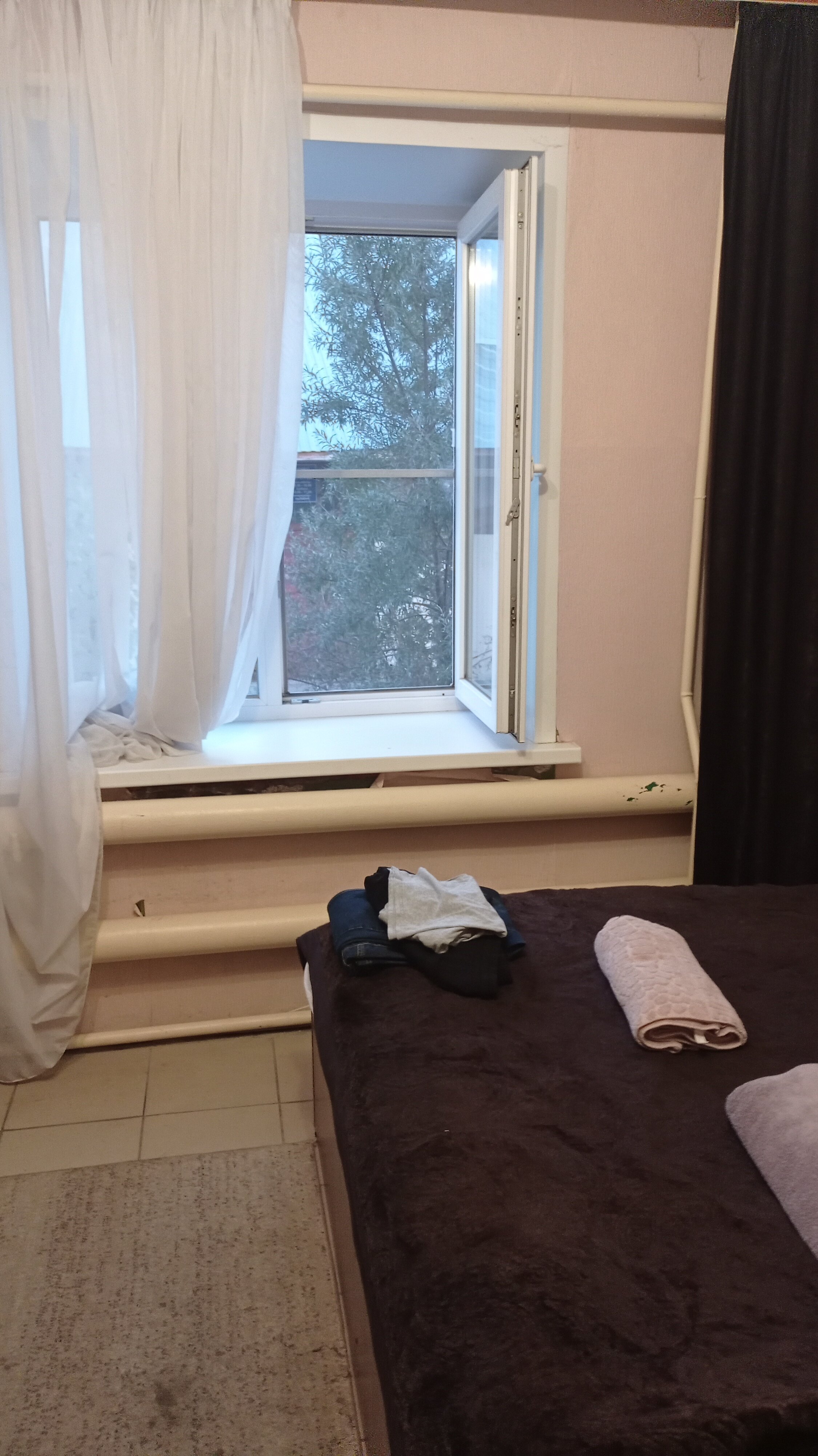 Фото Феникс