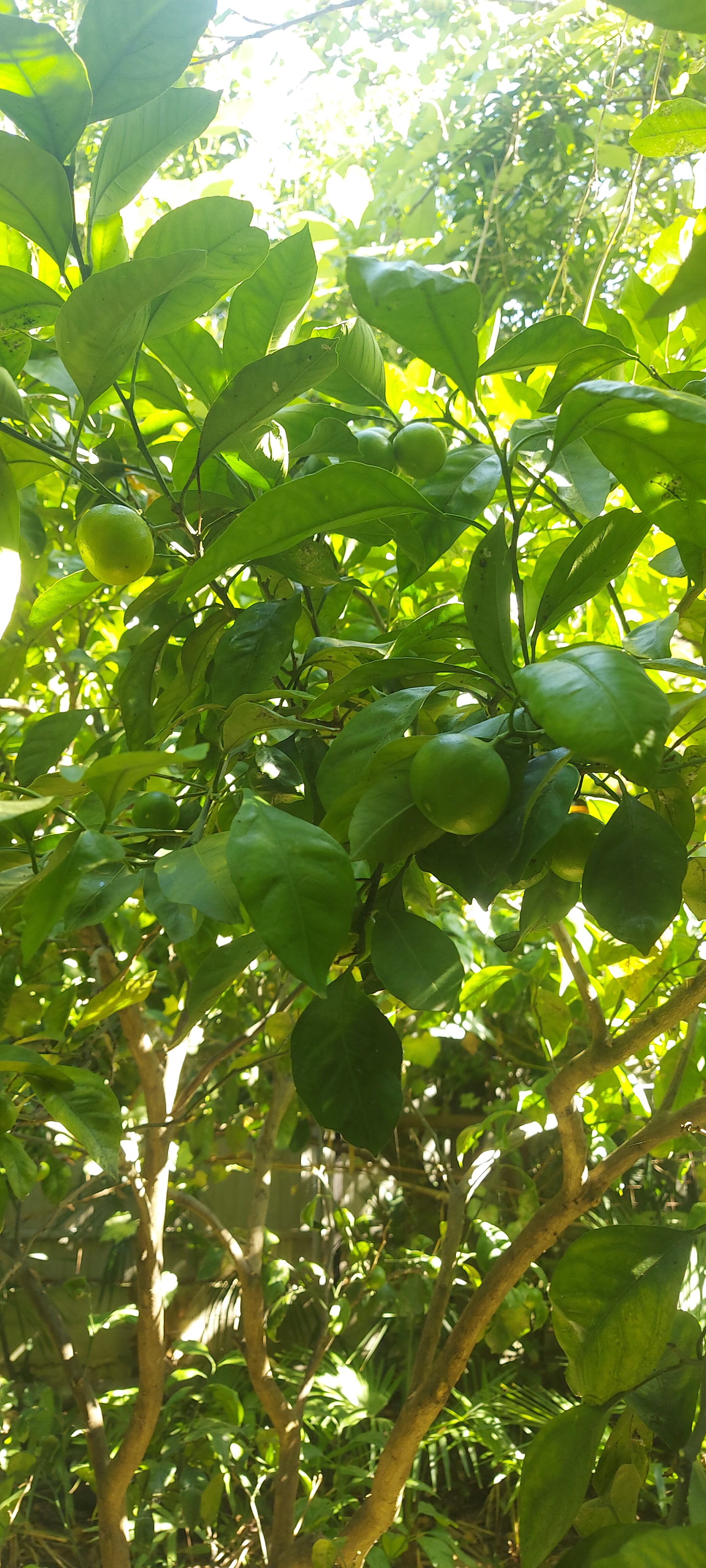 Фото Морской Штиль