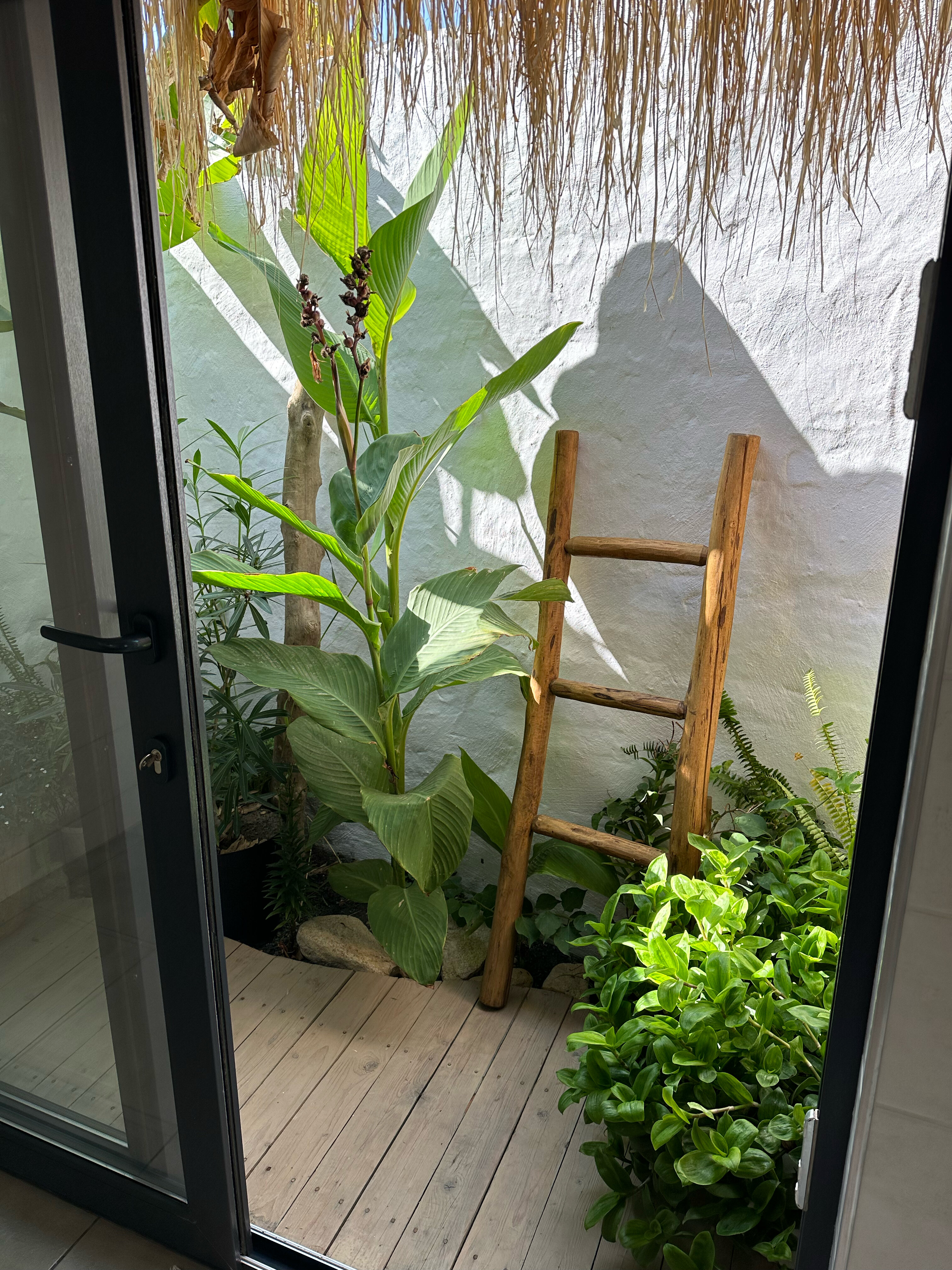 Фото Moreya eco bungalow