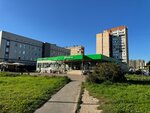 Фермерская лавка (Rikharda Zorge Street, 20) ، متجر جزارة، ديلي