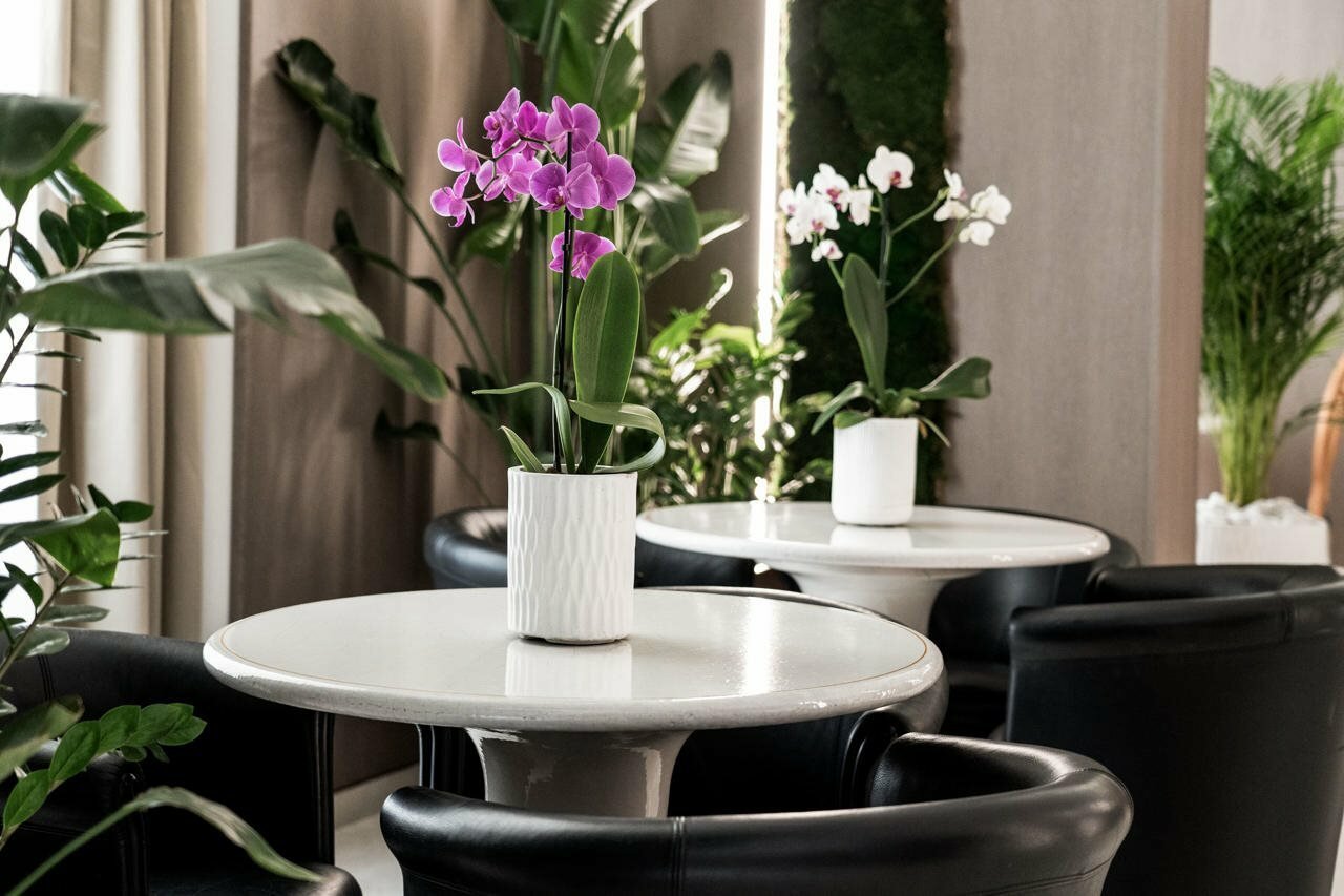 Фото Hotel Palazzo Ognissanti