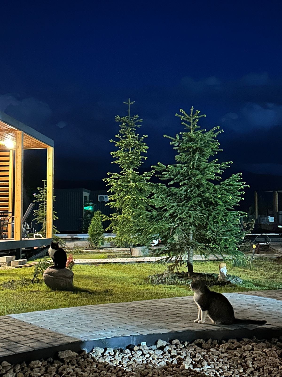 Фото Василиса Хаус