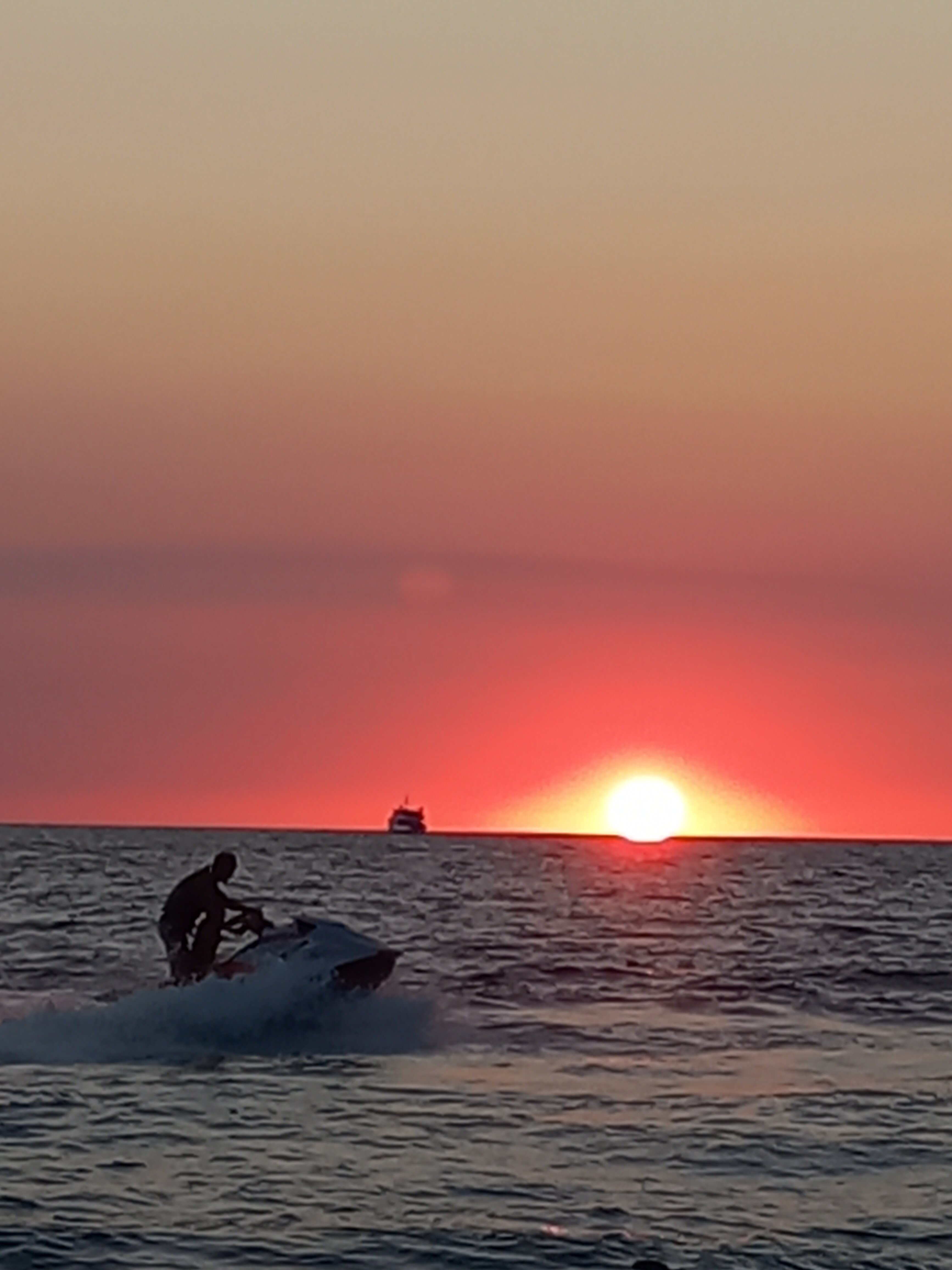 Фото Кардинал