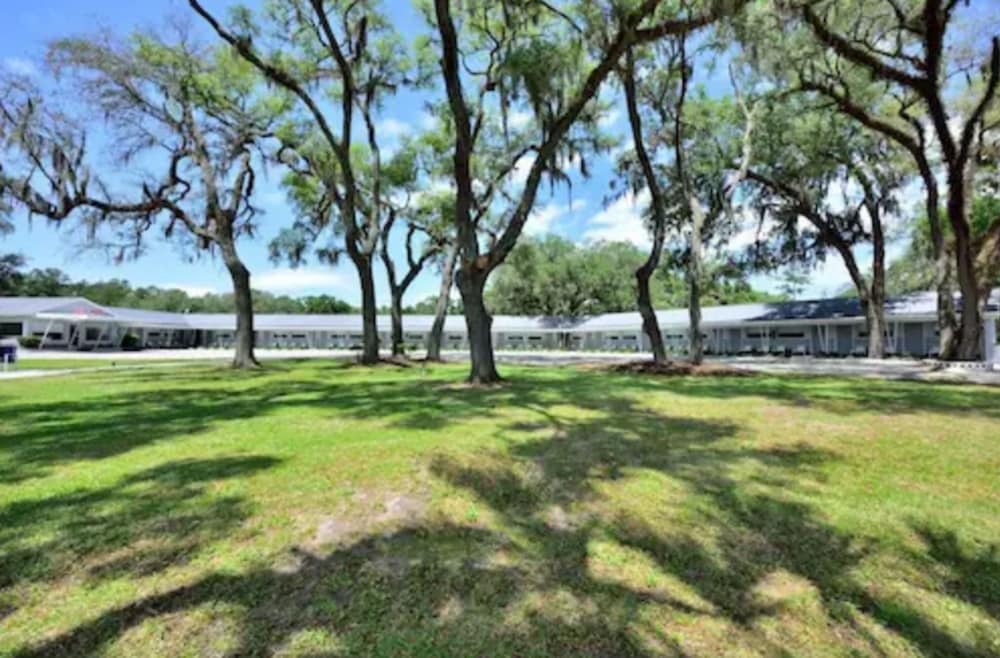 Фото Sun Plaza Motel