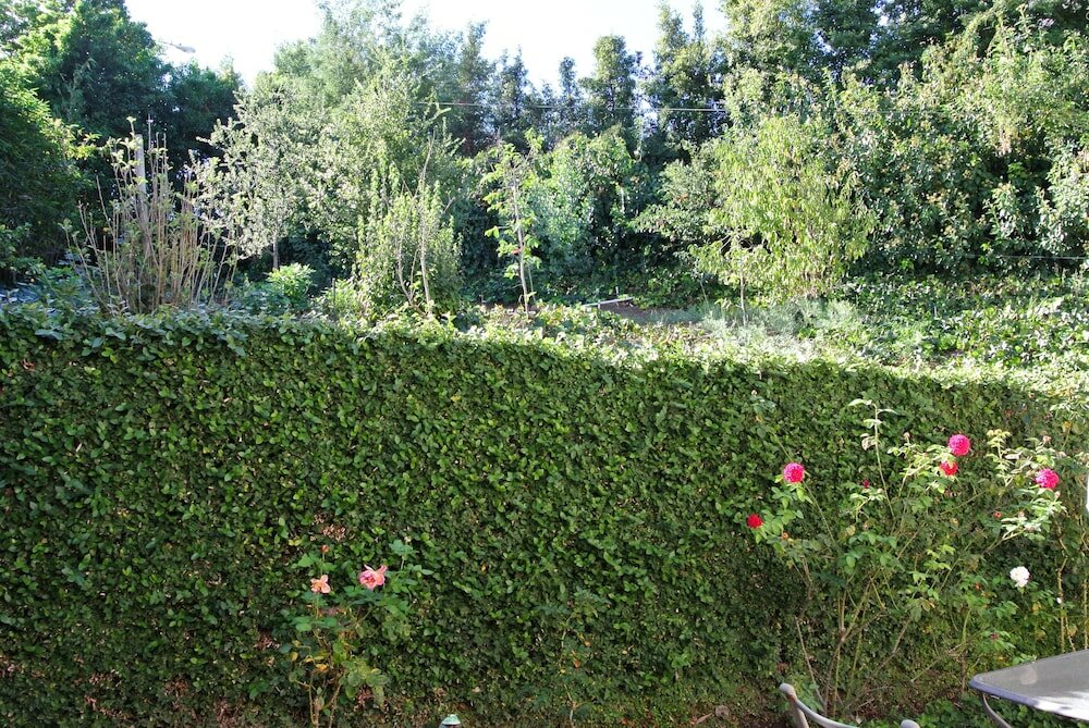 Фото Mini Mansion in Hollywood Hills