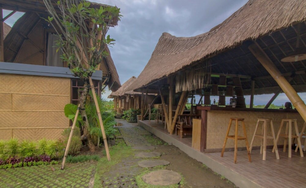 Фото Moon Bamboo