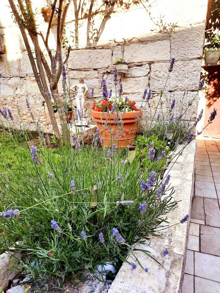 Фото Apartments Neno