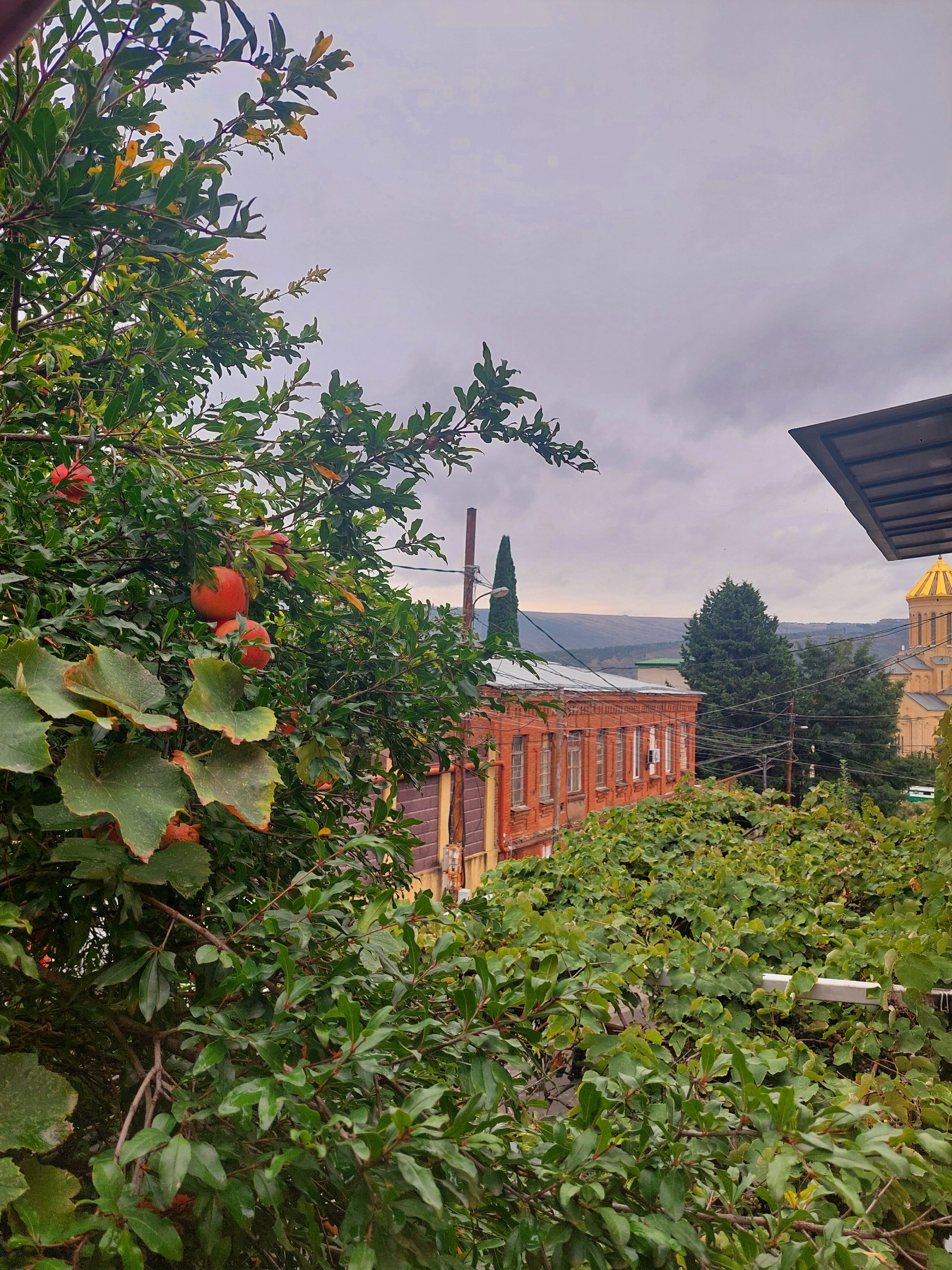 Фото Элиа Бутик Хостел