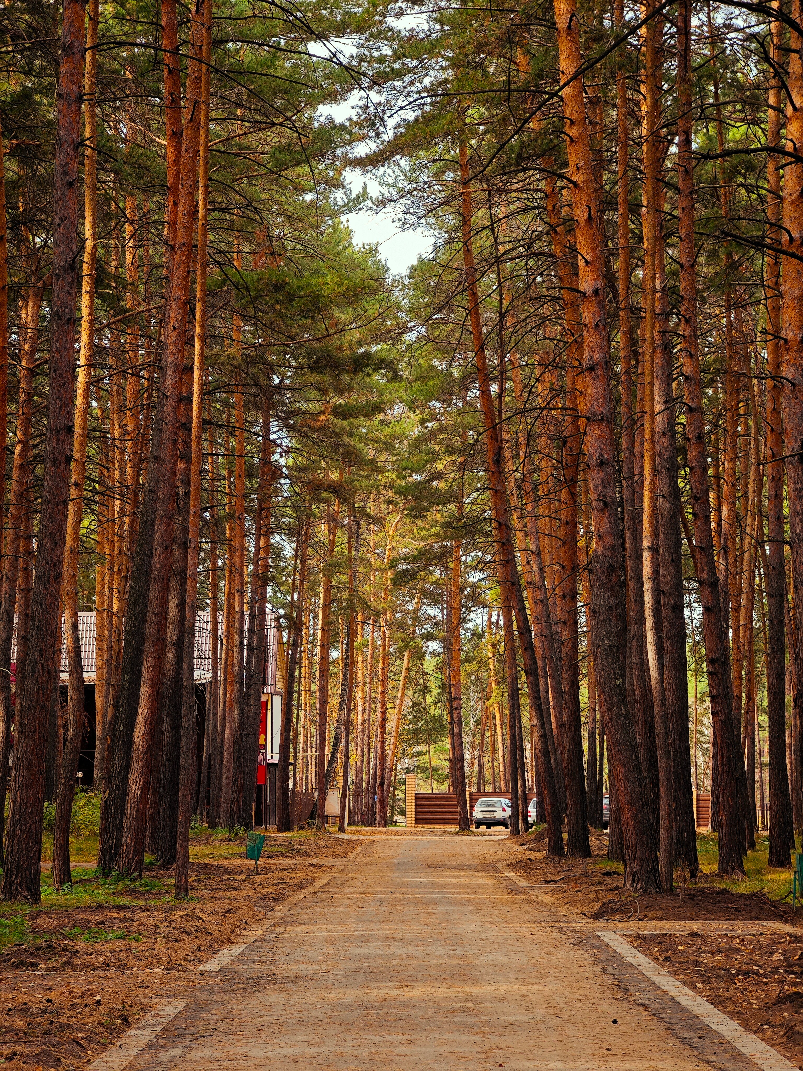 Фото Лунёвка
