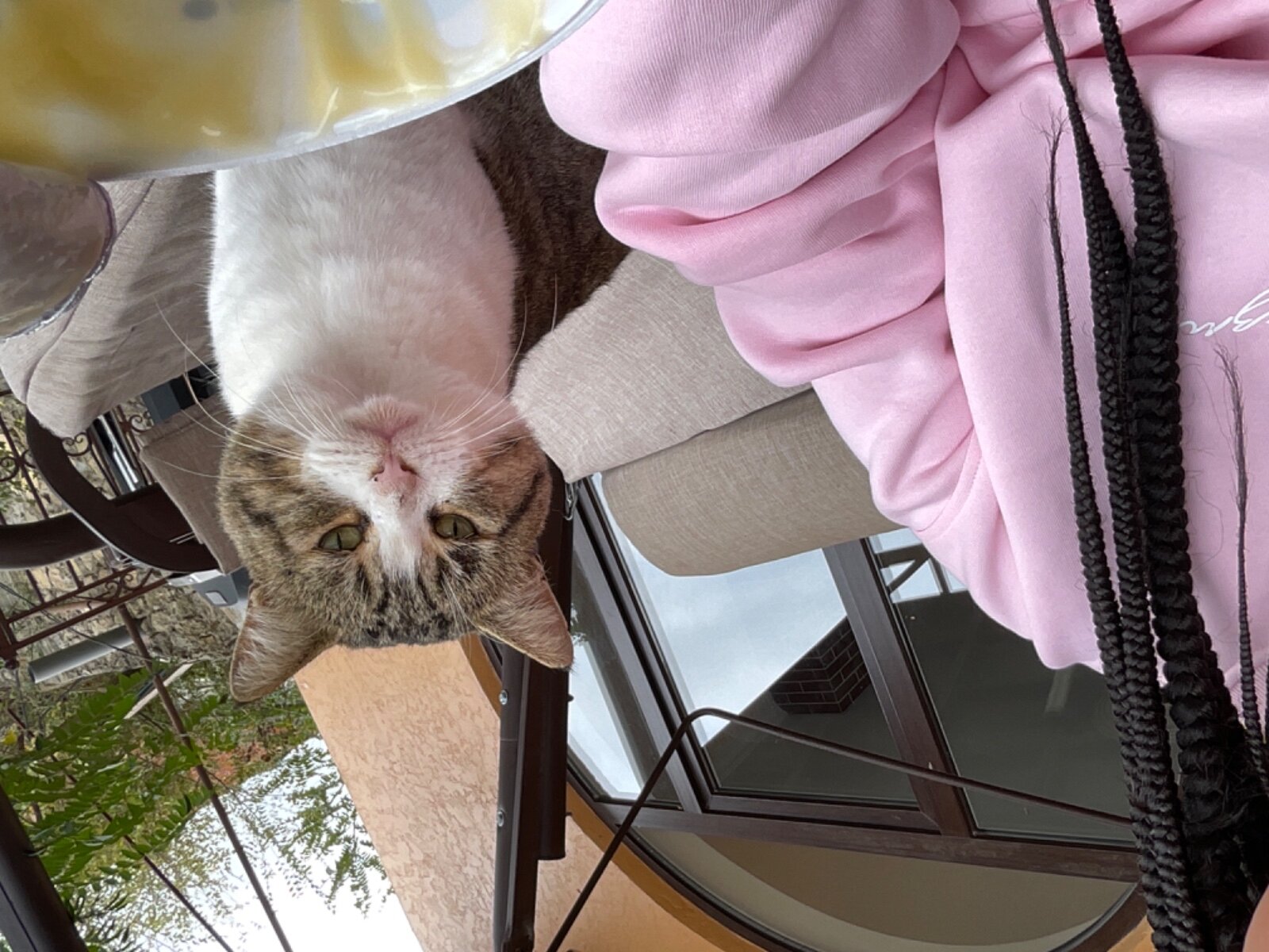 Фото В Тарках