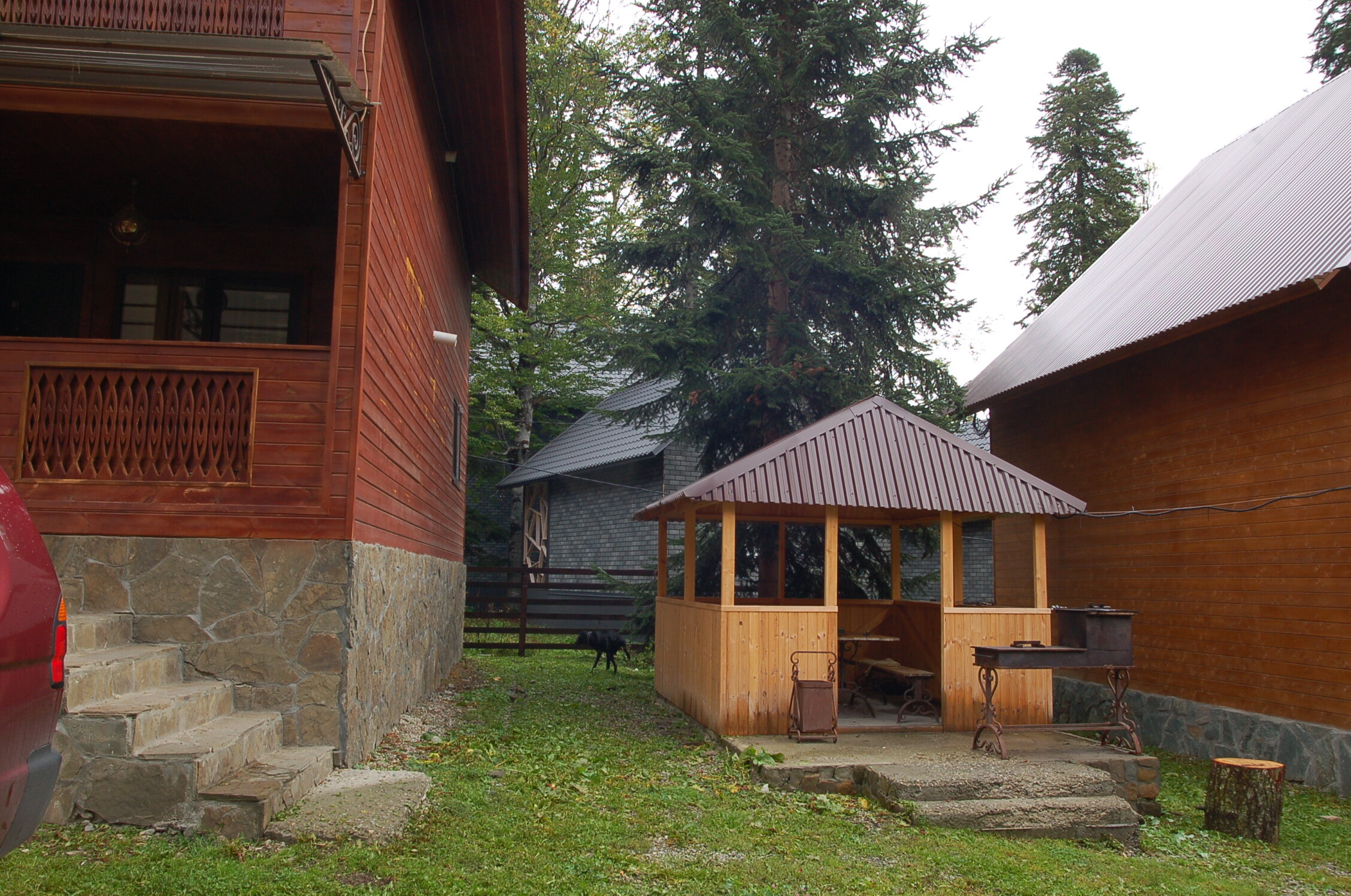 Фото Forest Yard