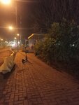Kamenka Street (Zelenograd, к1651) ، توقف وسائل النقل العام