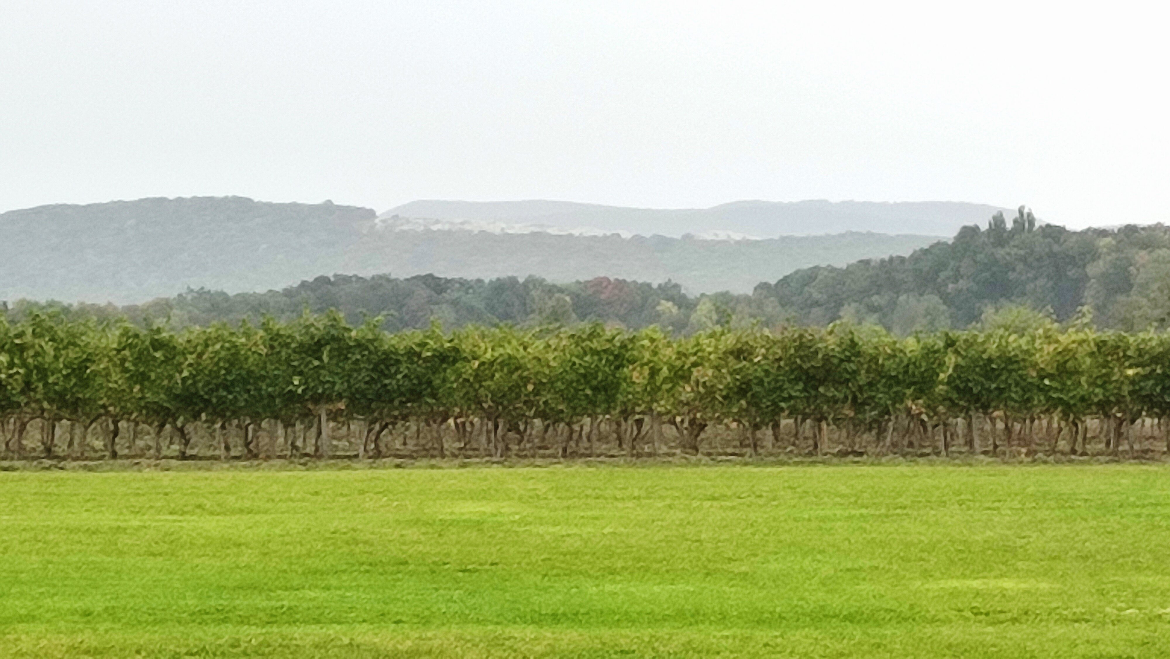 Фото Бюрнье