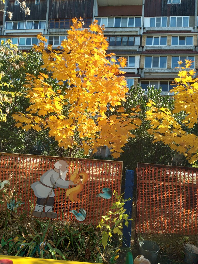 Kindergarten, nursery Detsky sad № 63 obshcherazvivayushchego vida, Nizhny Novgorod, photo