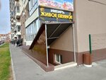 Имбирь (Rasula Gamzatova Street, 21), beer shop