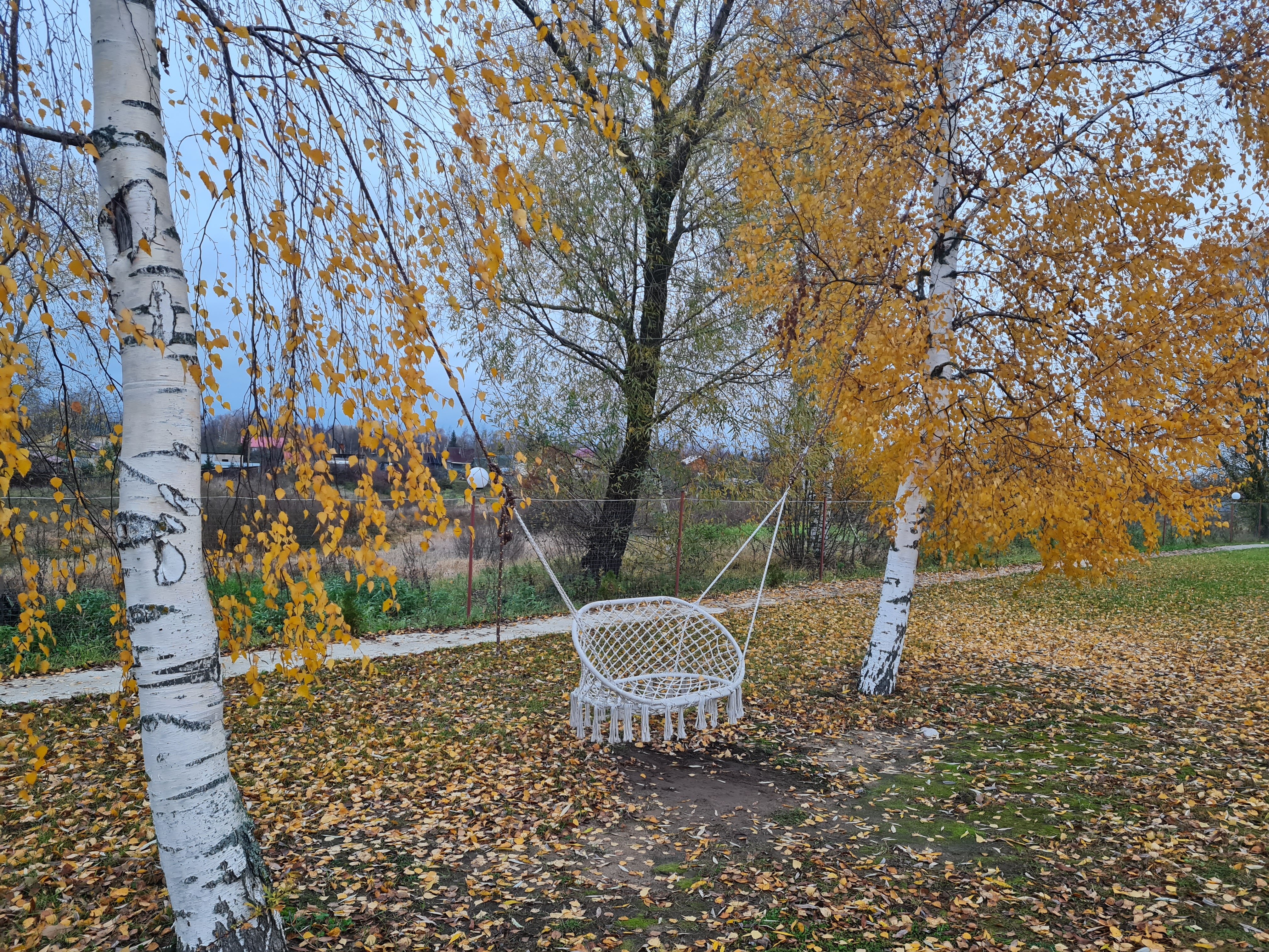 Фото Веряжский