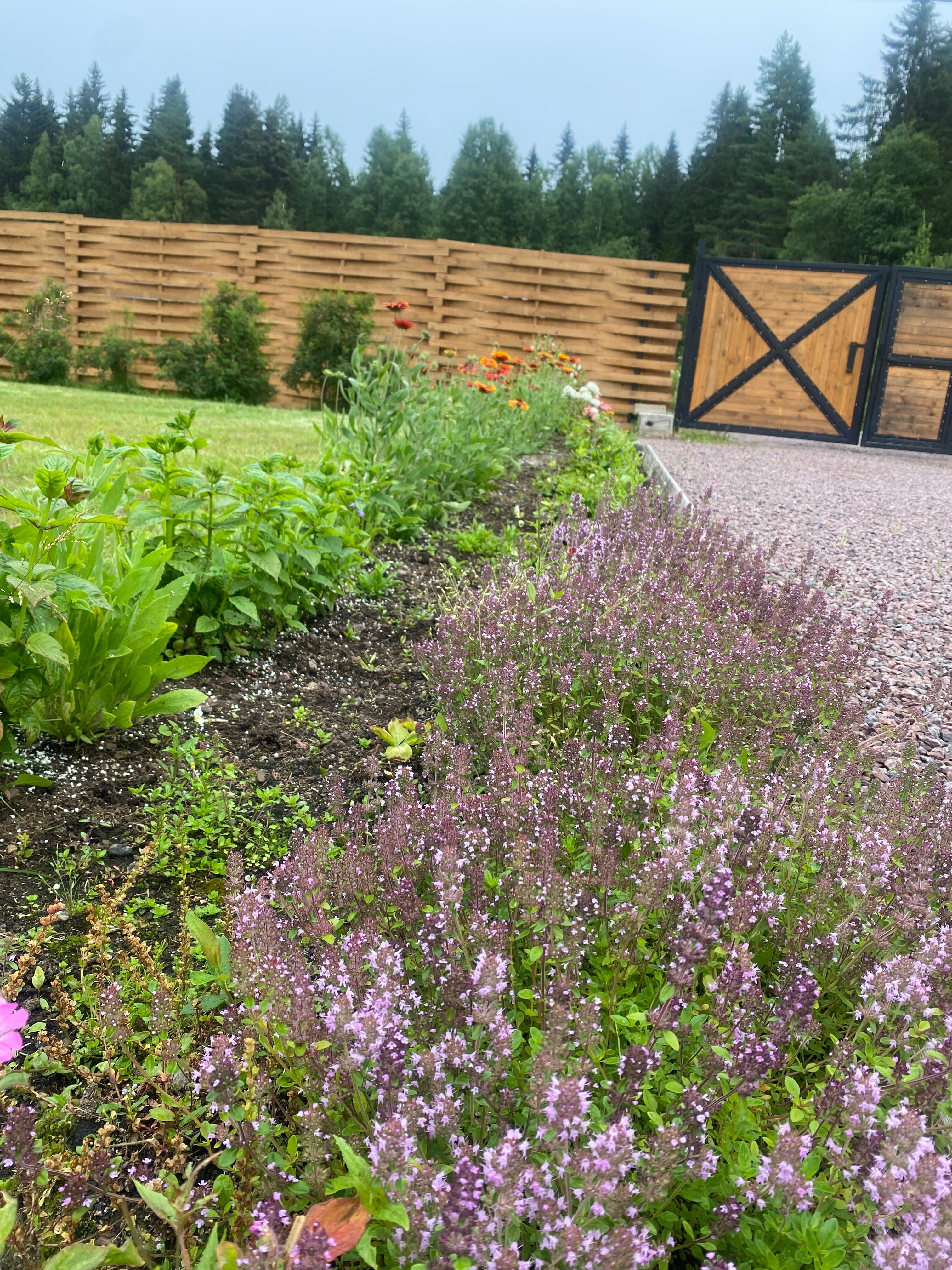 Фото Берлога люкс