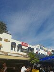 Diamond Marina Cafe (Muğla, Bodrum, Neyzen Tevfik Cad., 11/C), restaurant
