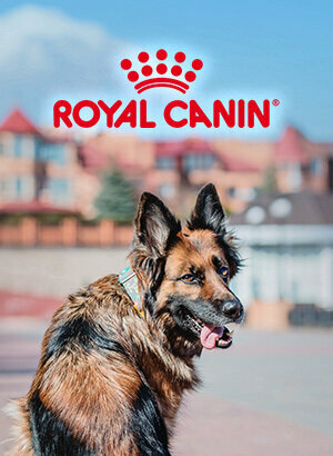 Pet shop Markamama. com.tr, Kartepe, photo