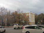 Центр организации довузовского образования Благовещенского государственного педагогического университета (Lenina Street, 104) ، التعليم الإضافي