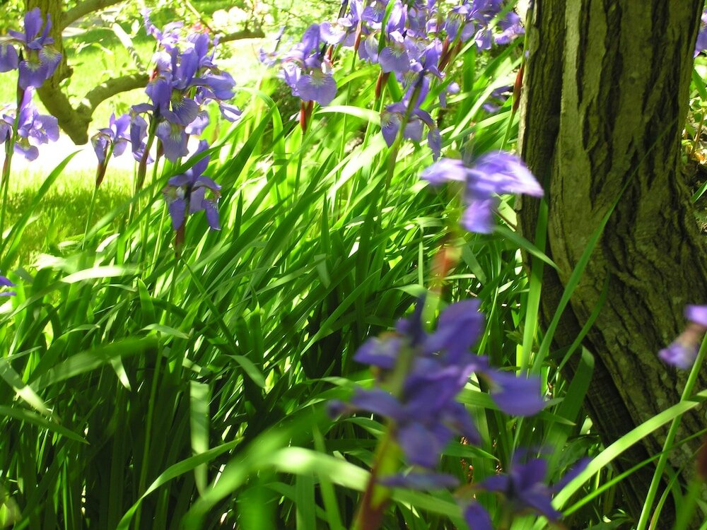 Фото Delano Homestead Bed & Breakfast