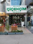 N&S Balgat Flower Center (Ankara Province, Cankaya District, Ceyhun Atuf Kansu Cad., 108F), flower shop