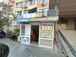 Кабинет логопеда (Academician Lukyanenko Street, 30), speech therapists