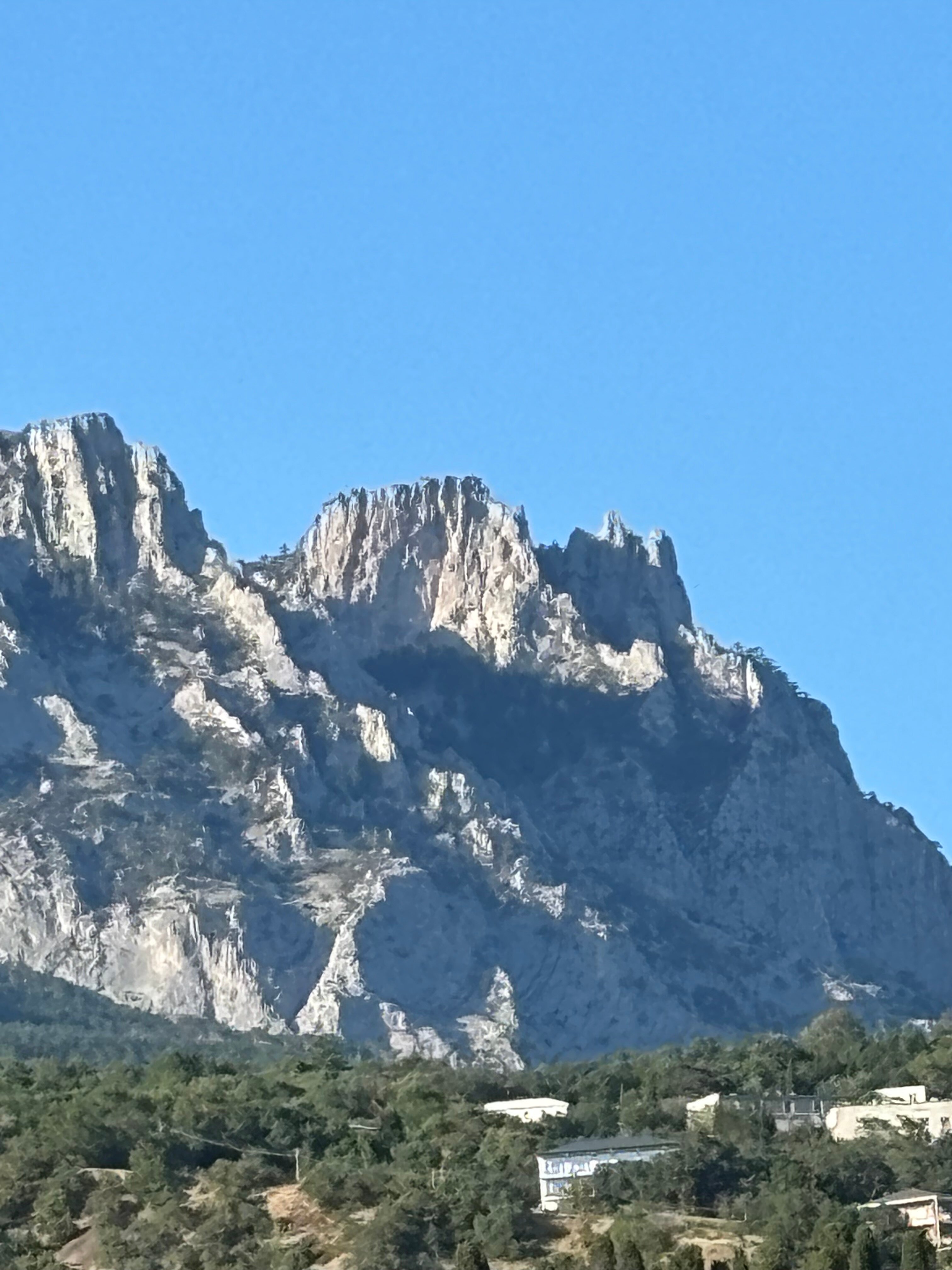 Фото Бархатный сад