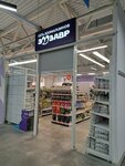 Зоозавр (prospekt Lenina, 69), pet shop